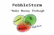 PebbleStorm Story March 17 2009 Launch