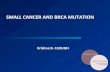 Krishna B Clough  : clinical case  : SMALL CANCER AND BRCA MUTATION