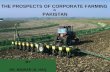 Corporate farming pakistan