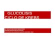Glucolisis y Ciclo de Krebs