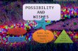 Possibility and Wishes