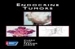 Atlas of Clinical Oncology - Endocrine Tumors