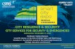 City Resilience & Security