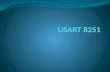 USART 8251