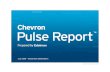 Chevron Pulse Report: July 2008 to December 2009