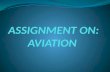 aviation assignment
