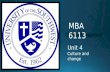 Unit Four (MBA 6113)