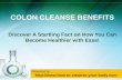 Colon Cleanse Benefits: Discover A Startling Fact On How You Can Become Healthier With Ease!