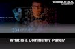 What is a community panel?