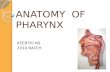 Anatomy  of pharynx