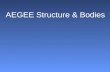 Structure Of AEGEE