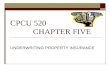 CPCU 520 Chapter Five
