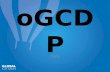 AIESEC Argentina & Uruguay | Why oGCDP