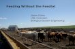 Feeding Cattle Without the Feedlot