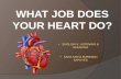 Heart presentation