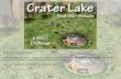 Crater lake - BACC -  week 1 - borealis
