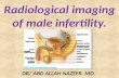 Presentation1.pptx, radiological imaging of male infertility.