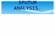 Sputum analysis.final 1.