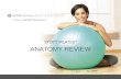 Anatomy review-2-to-3-hours-option2 (1) (1)