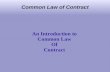 Common Law Contracts Overview