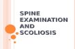 Spine Examination And Scoliosis