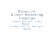 Blueprint Campaign