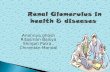 Glomerulus in health & diseases
