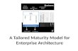A tailored enterprise architecture maturity model