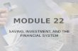 Module 22 saving, investment, and the financial system
