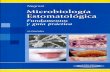 Microbiologia Estomatologica (75 %)