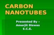 30741952 Carbon Nanotube PPT (1)