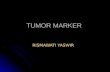 4.Tumor Marker