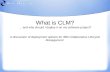 What are IBM Rational's CLM products