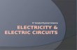 Electricity & electric circuits