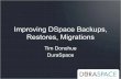 Improving DSpace Backups, Restores & Migrations