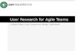 Agile Experience Design Meetup:  User Research in an Agile Environment