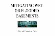Wet Flooded Basement Brochure FP