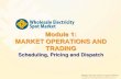 Module 1 WESM Trading and Operations Final PDF  ok