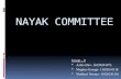 Nayak committee