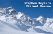 Stephen Meyer's Virtual Resume