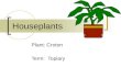 4 27 potted plant care