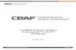 CBAP Handbook