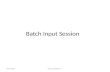 Batch input session
