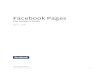 Facebook pages-insiders-guide1-1267399418-phpapp02