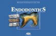 Arnaldo Castellucci - Endodontics (Vol. 2)