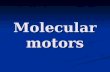 Molecular Motor