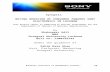 synopsis on Buying Behavior of Consumer Towards Sony Electronics