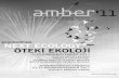amberConference 2011 Proceedings