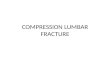 Compression Lumbar Fracture Kane Erni.