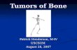 Bone Tumor